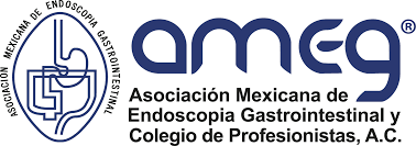 Logo Asociación Mexicana de Endoscopia Gastrointestinal (AMEG)